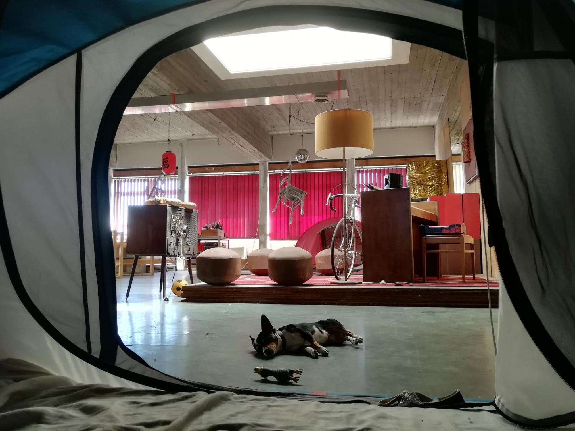 Ghostel 1St - Aventure Alternative - Guest House - Arts-Factory-Experience - For Artists, Makers And Open Minds - Attention, We Are Not A Hotel And Are Not Adapted For Everybody - Read Host Warnings Before Reservation - Www,Providence,Be Asbl Charleroi Kültér fotó